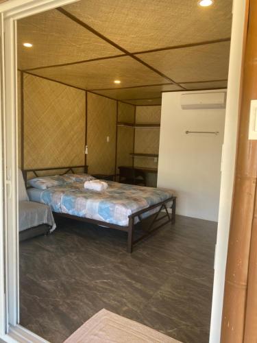 Peaceful turtle camp