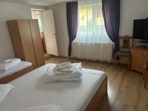 Pensiunea Bujor de Munte