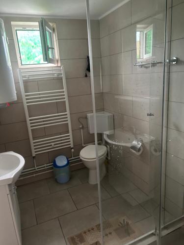 Pensiunea Bujor de Munte