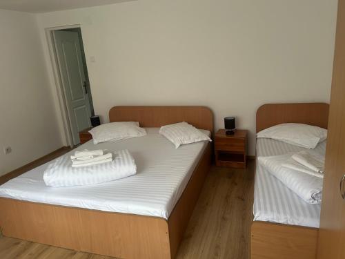 Pensiunea Bujor de Munte