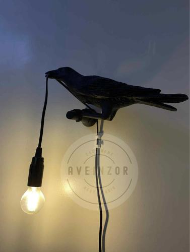 Aveinzor Nest Studio