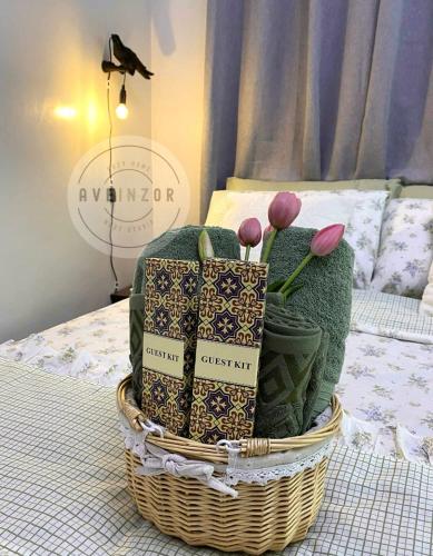 Aveinzor Nest Studio