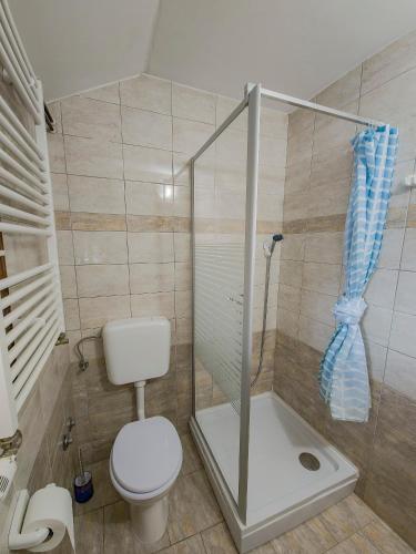 House Šapina