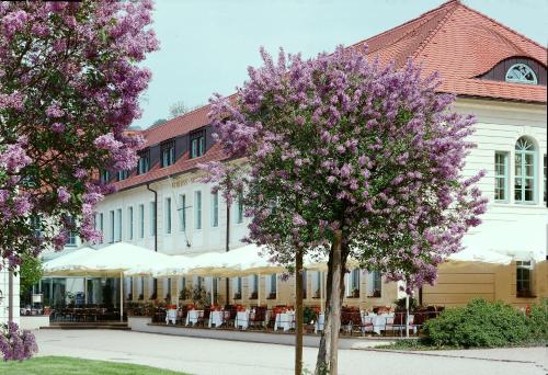 Schlosshotel Dresden-Pillnitz