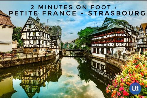 LIFE RENAISSANCE - New Concept