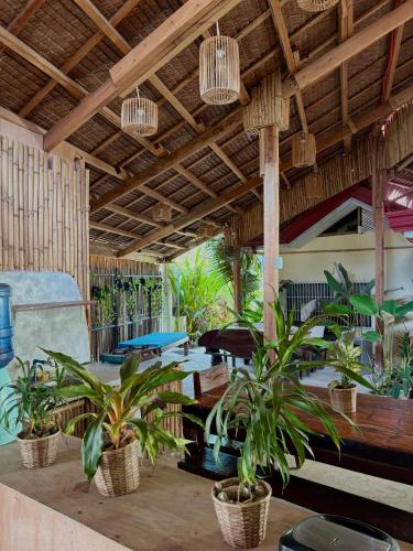 Yellow Banana Siargao