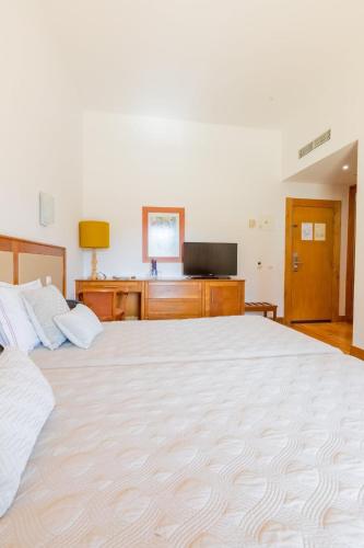 Hotel Rural Quinta de Samaioes