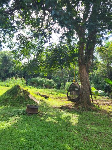 CROSSROADS HAVEN FARM