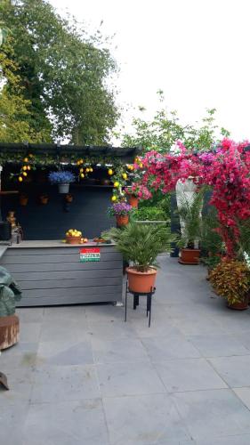 Cozy room with a beautiful garden view