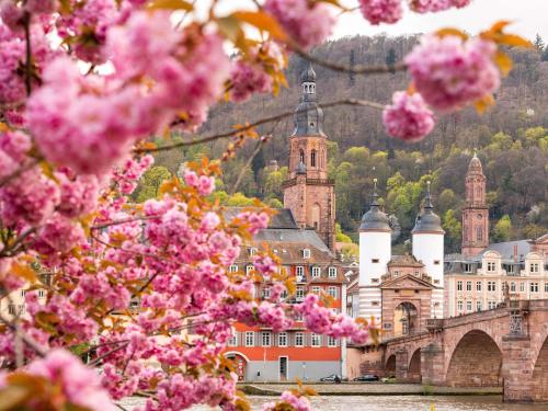 ibis Heidelberg Hauptbahnhof
