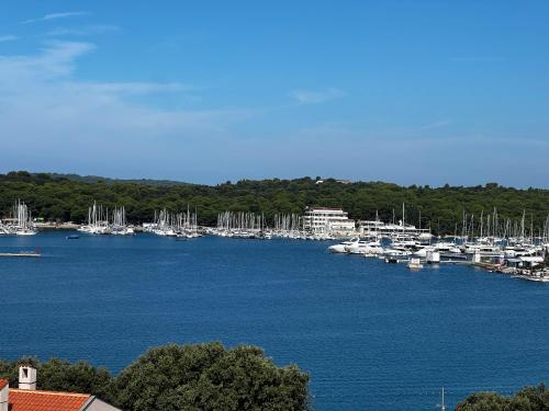 Apartments By The Sea