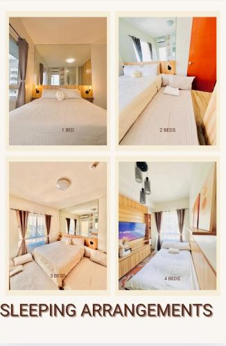 Reflective- Woodscape