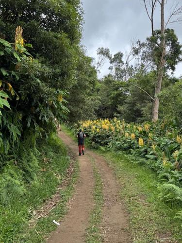 Casa Rural & Parrillada Miguel