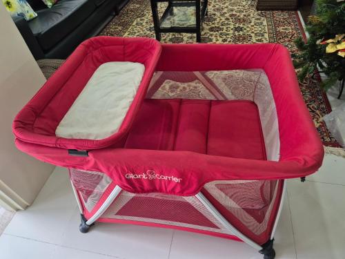 Spacious and luxury house near Davao airport