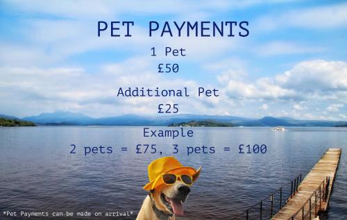 Skyline Lodge Loch Lomond Castle Lodges