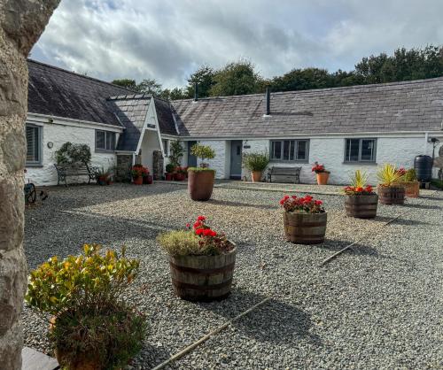 Gwyllt Cottages