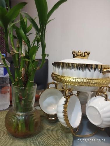 HAPpycation Portocondo