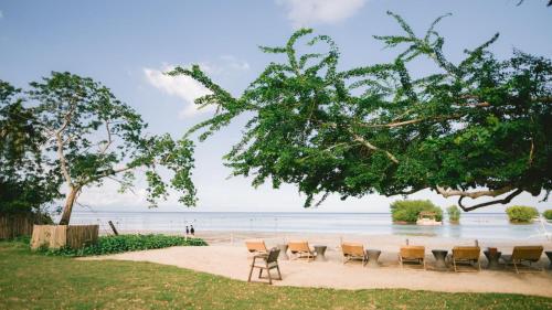 The Funny Lion Puerto Princesa