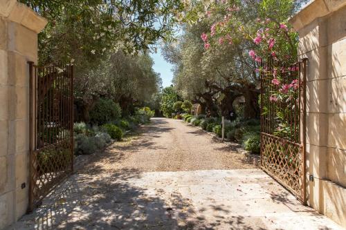 Domaine Les Mesanges