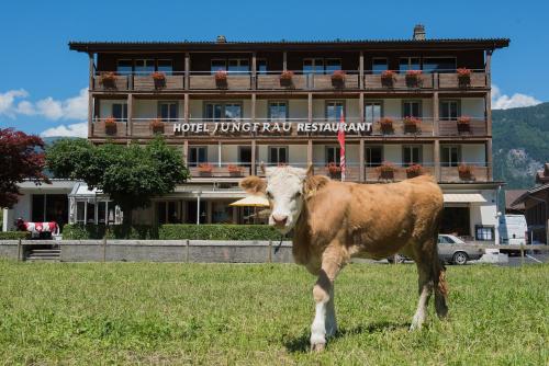 Jungfrau
