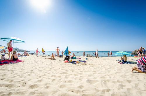 Premier Fort Cuisine