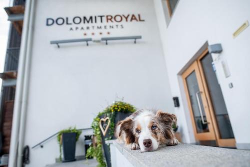 Aparthotel Dolomit Royal