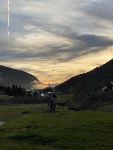 Les Chamois De La Combe En Haut