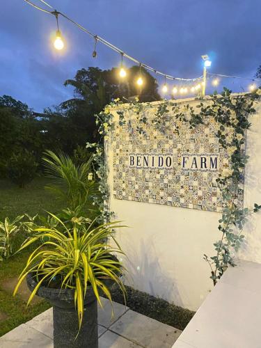Benido Farm - A Secret Haven