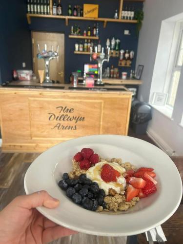 The Dillwyn Arms Hotel