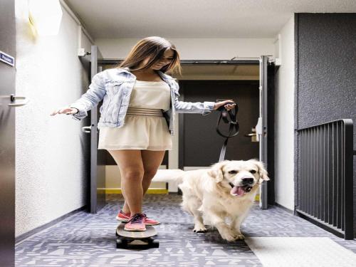 Ibis budget Perpignan Sud