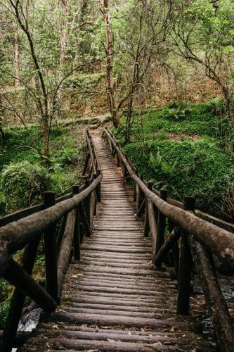 Welcome Douro - Eco Camping Resort