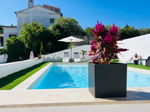 Vila Pombal Tomar Apartments - Pool & City Views