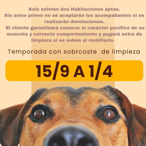 Habitaciones La Cuevona de Guitiriz, Parga, en el camino norte Lugo