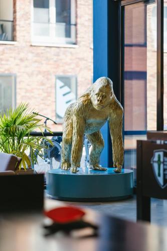 The Social Hub Groningen