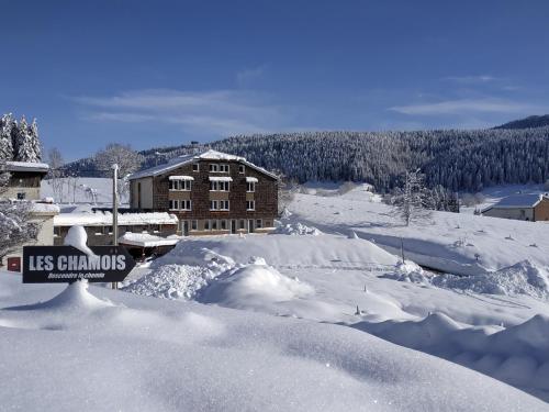 Les Chamois De La Combe En Haut