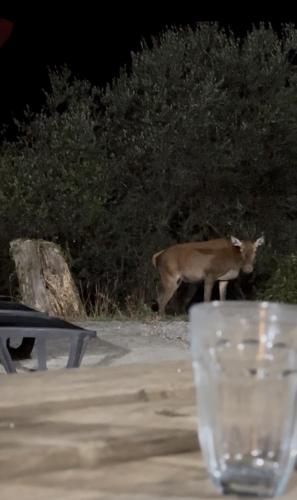 La Ferme Des Cailletiers