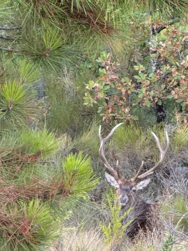 La Ferme Des Cailletiers