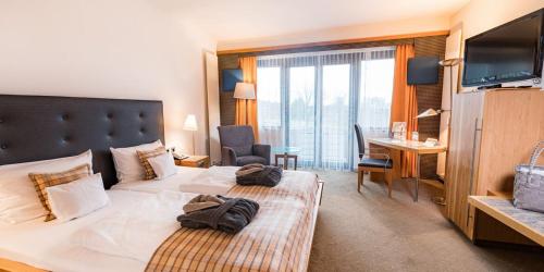 Göbel's Schlosshotel Prinz von Hessen