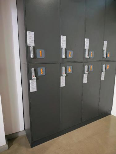 INTROVERT Maria Luisa