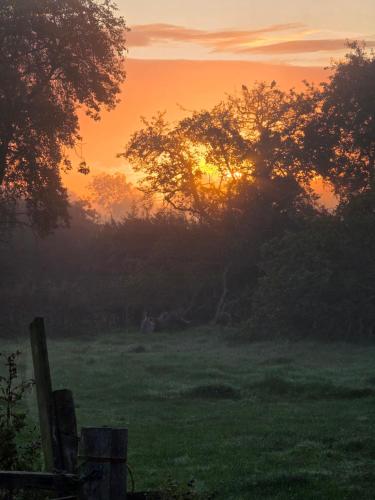 Brampton Dales Farm