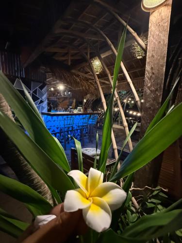 Zhaya's Beach & Cottages