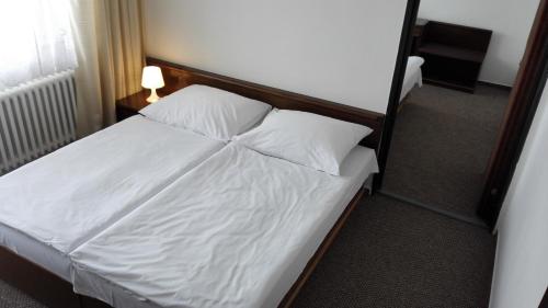 Hotel Satel