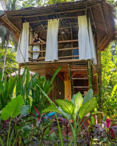 Water To Forest Ecolodge