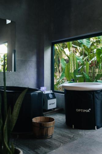 Asgard Resort & MMA Gym