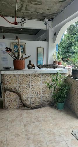 Swayna Homestay - By Eastdee