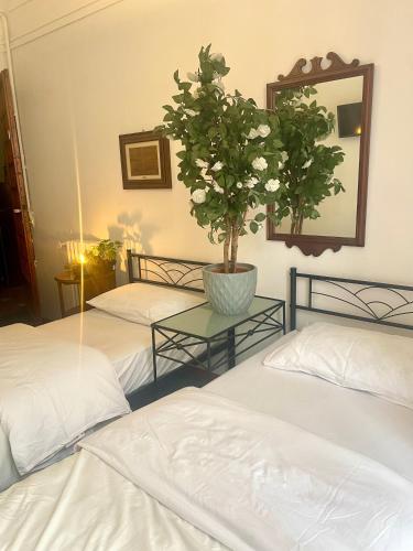 Porto Di Colombo - Affittacamere vicino spiaggia e città