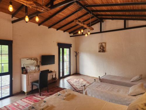 Erdem Ciftligi/ Ephesus Arena