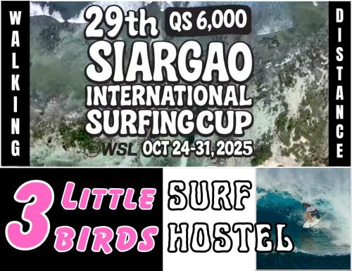 Three Little Birds Surf Hostel