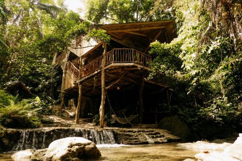 Treehouse De Valentine