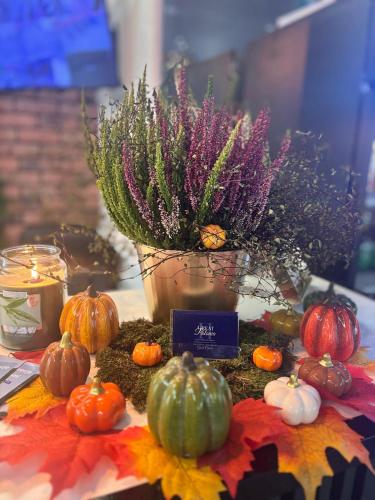 Great Polonia Swidnica City Center